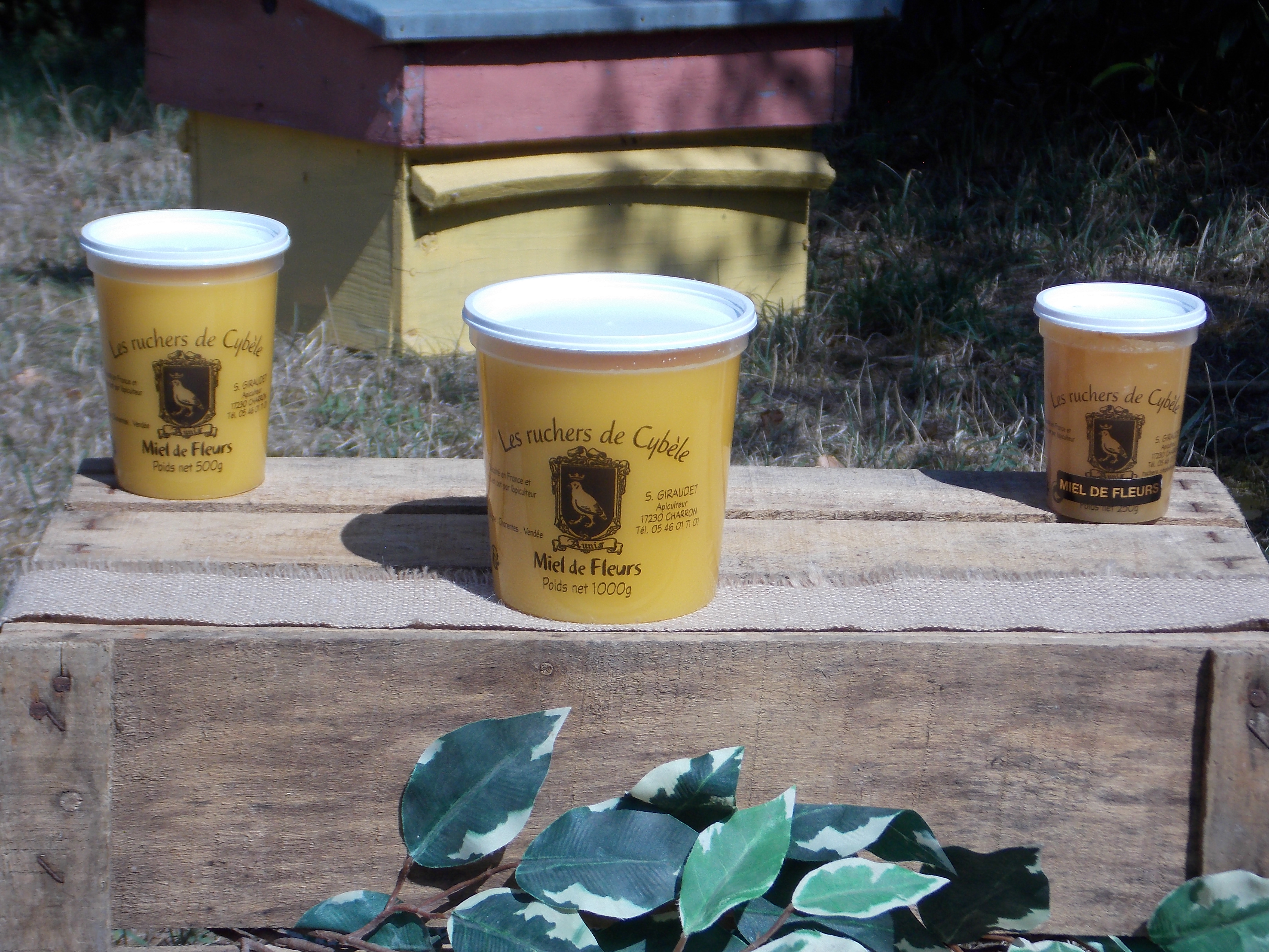 Miel de Toutes fleurs d'été 500g