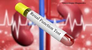 Renal Function Test