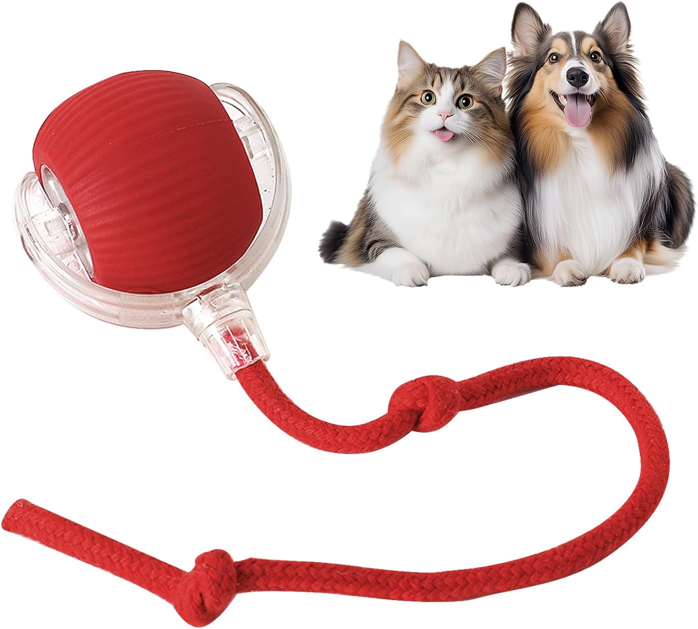  Interactive Cat Toy Roller Ball