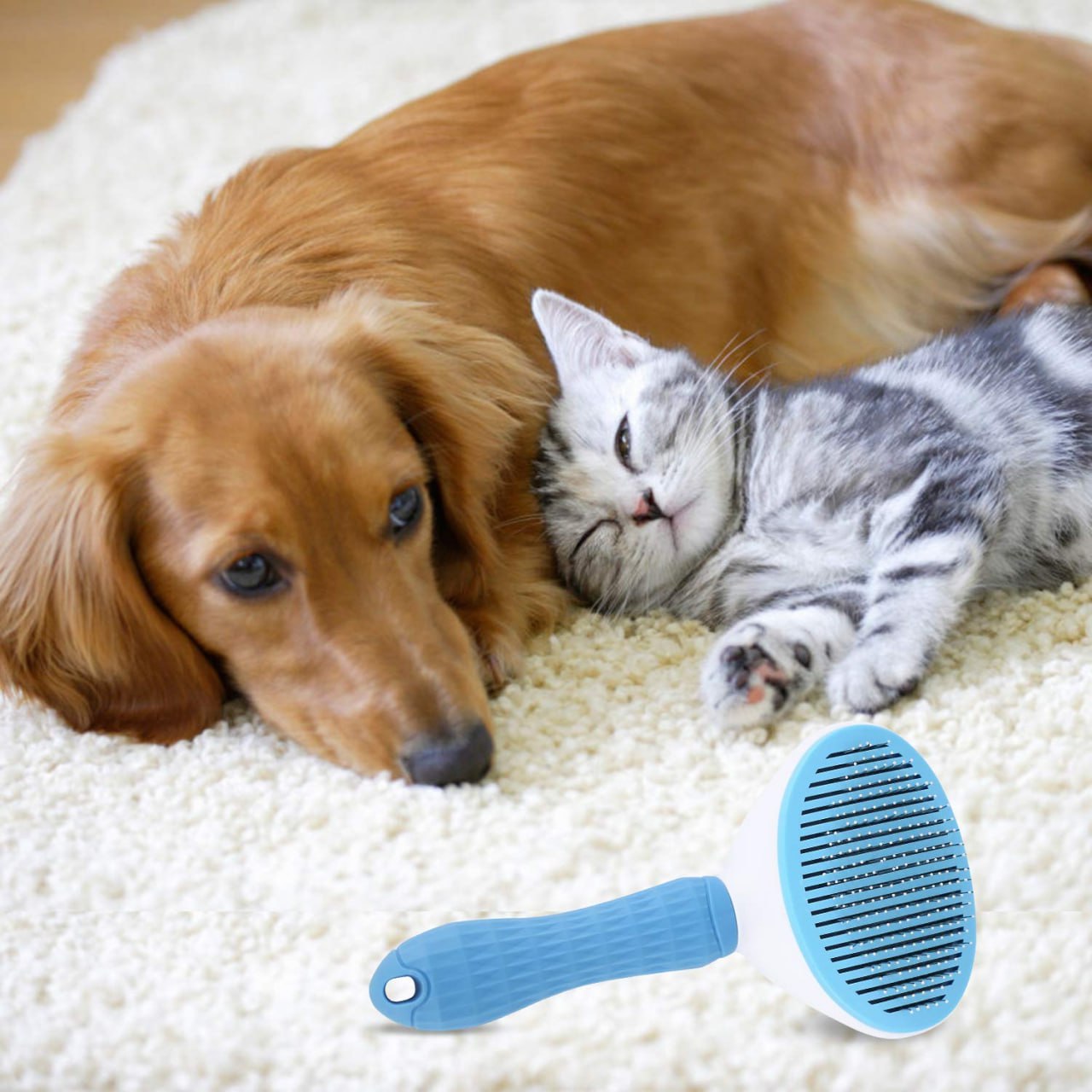 Pet Grooming Brush (Round) - Multi Color