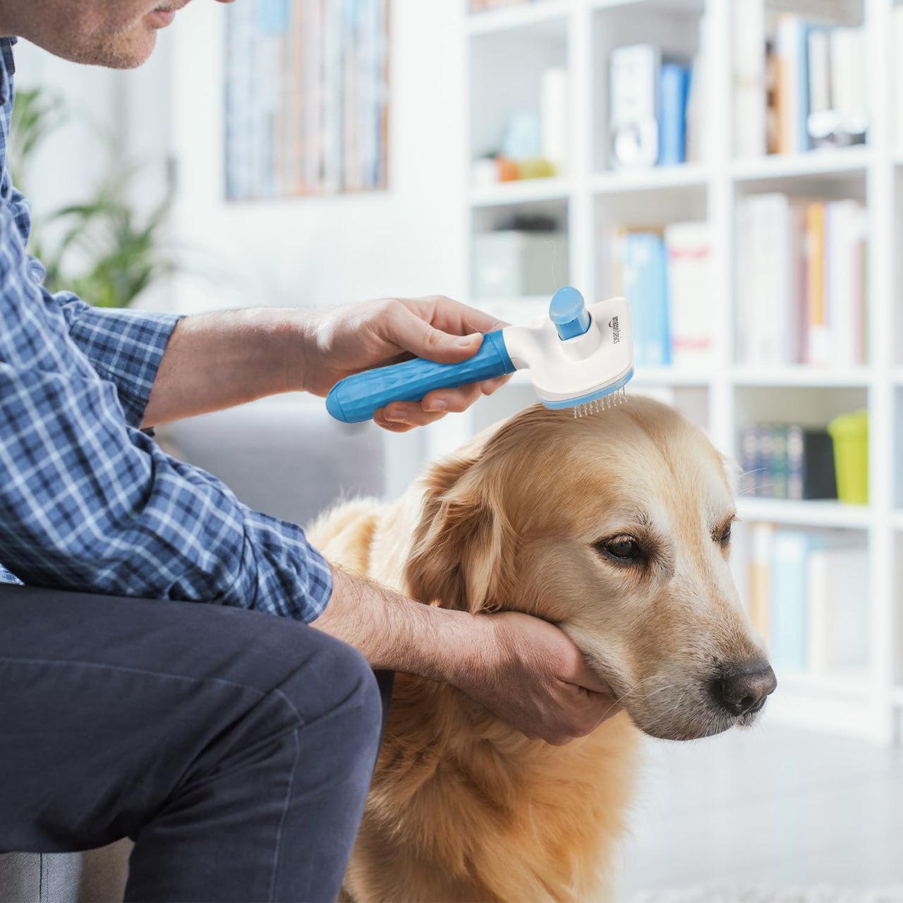 Pet Grooming Brush (Square) - Multi Color