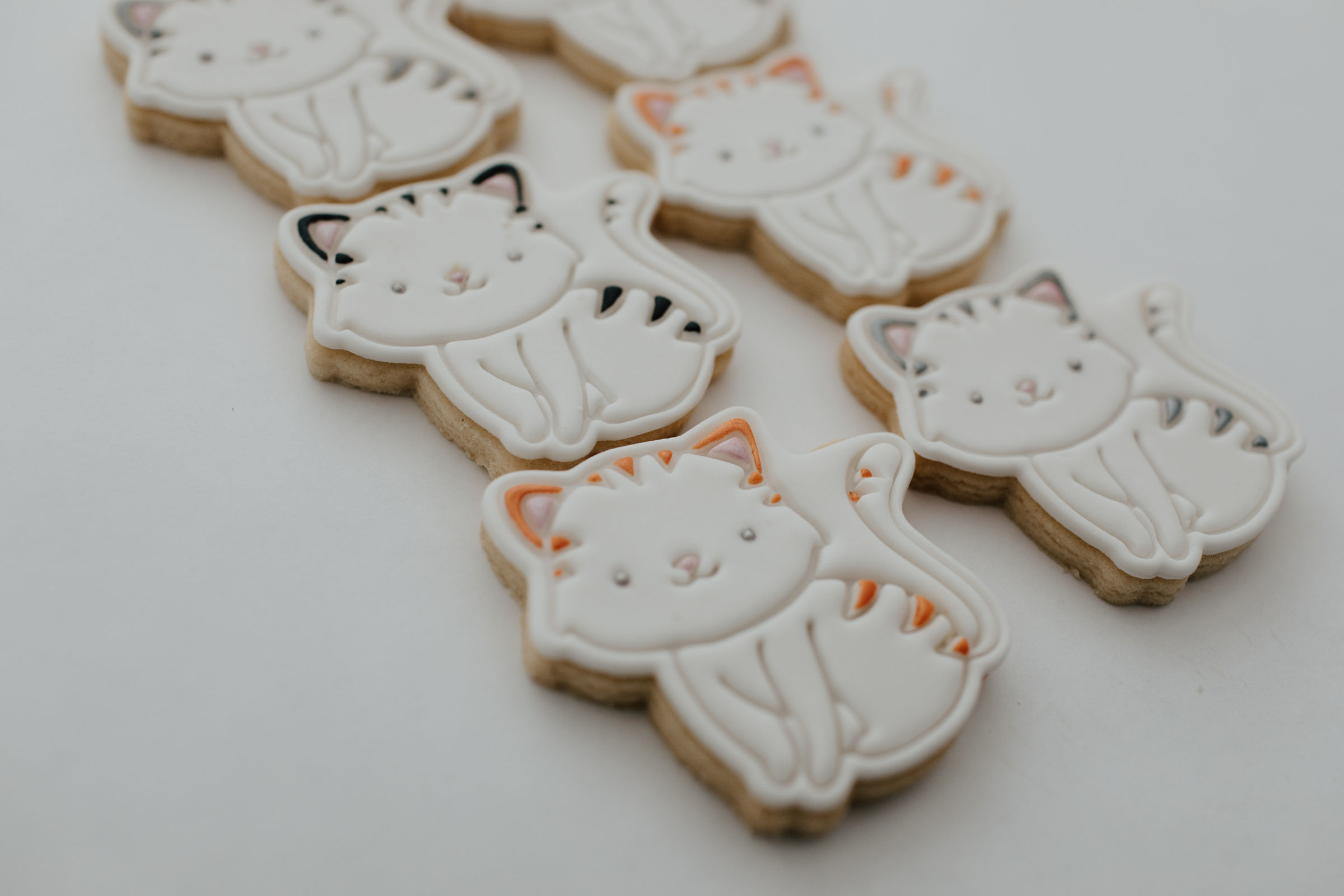 Purrfect Cat Cookies