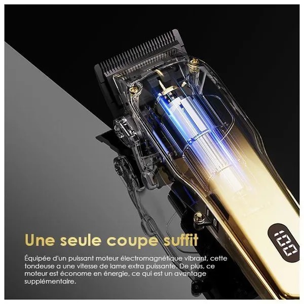 Oraimo Smart Clipper 2 Gold - Tondeuse à cheveux professionnelle 