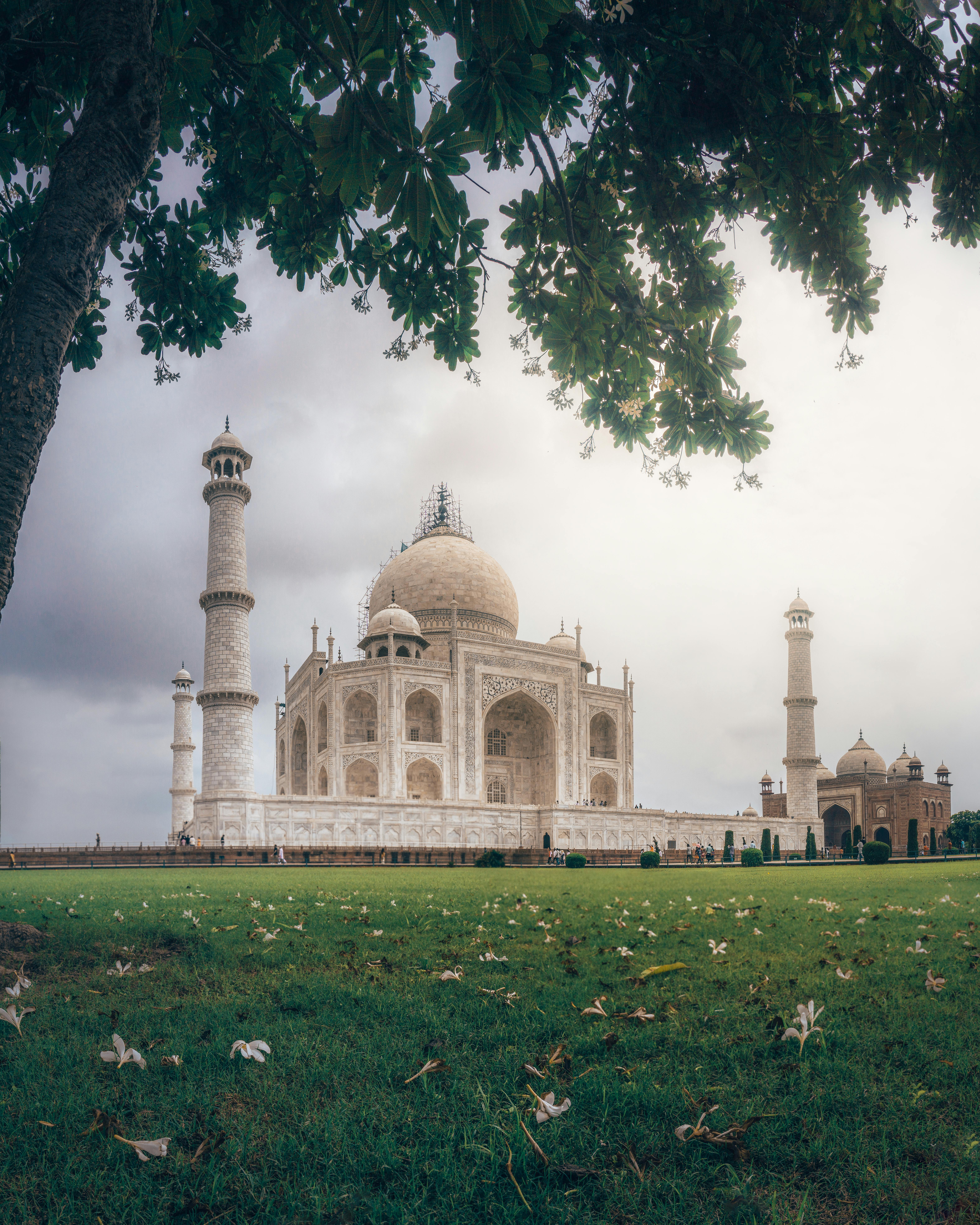 GOLDEN TRIANGEL WITH TIGER | 8 Nights/ 9 Days