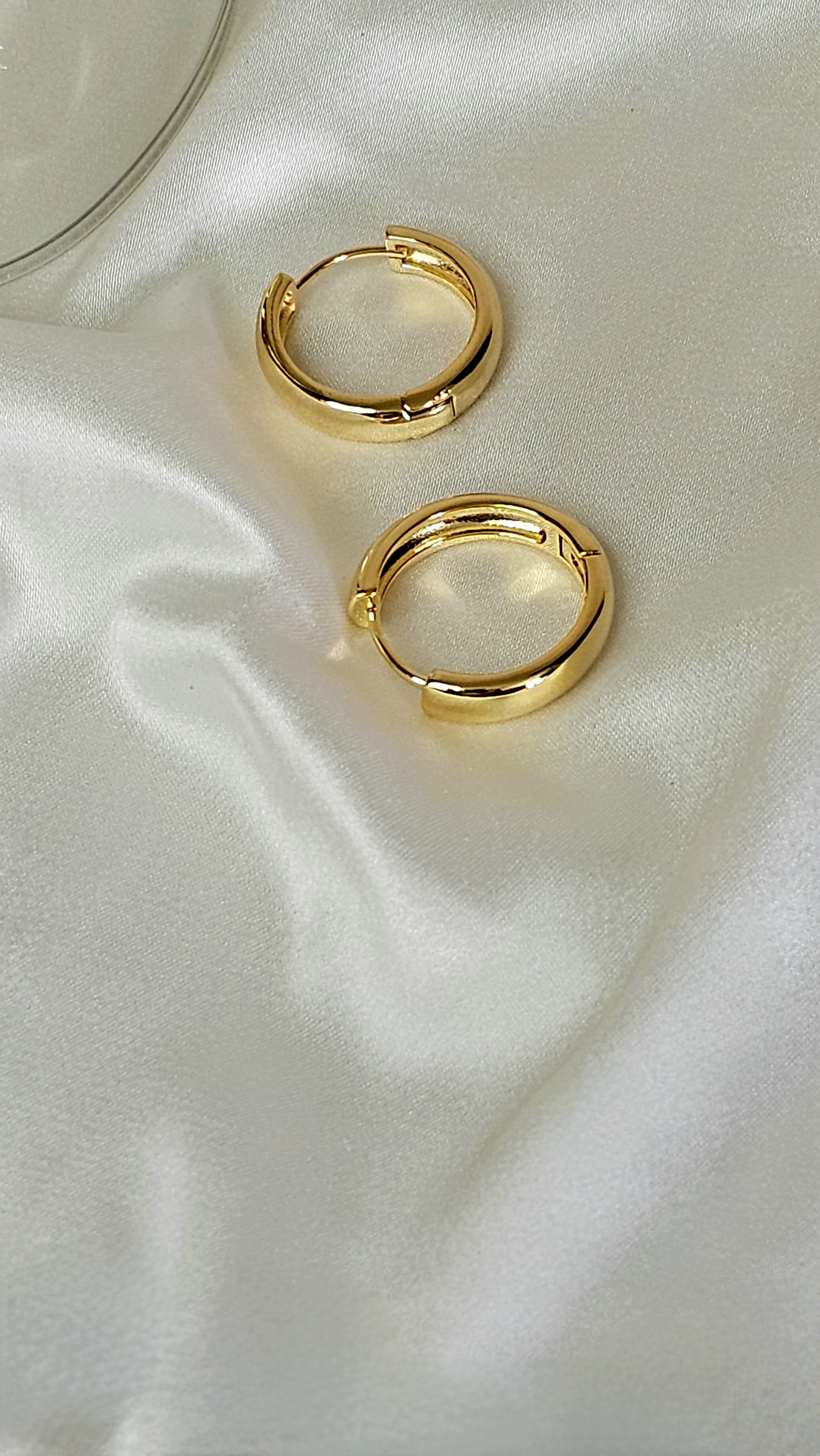 Circlet Hoops