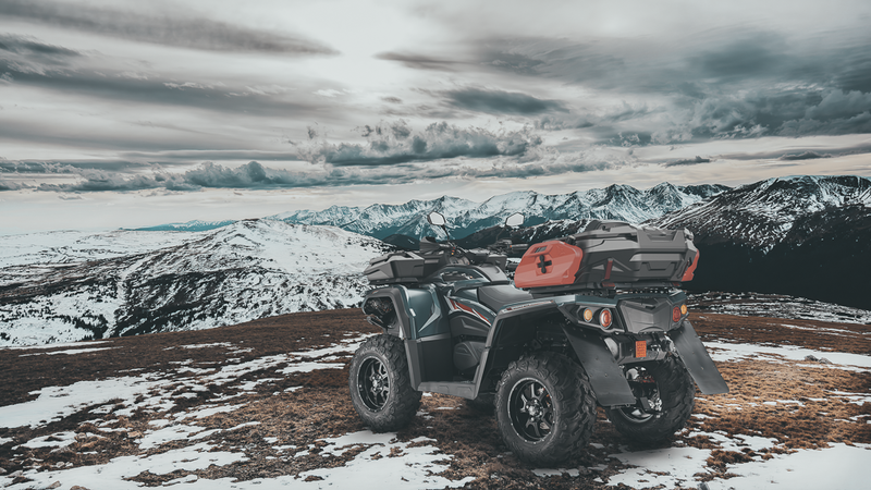 Aodes TESSERACT galinė daiktadėžė 650-1000