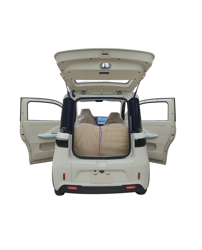 Elektrinis Mini Auto Ekomoto M5, 4000W AC