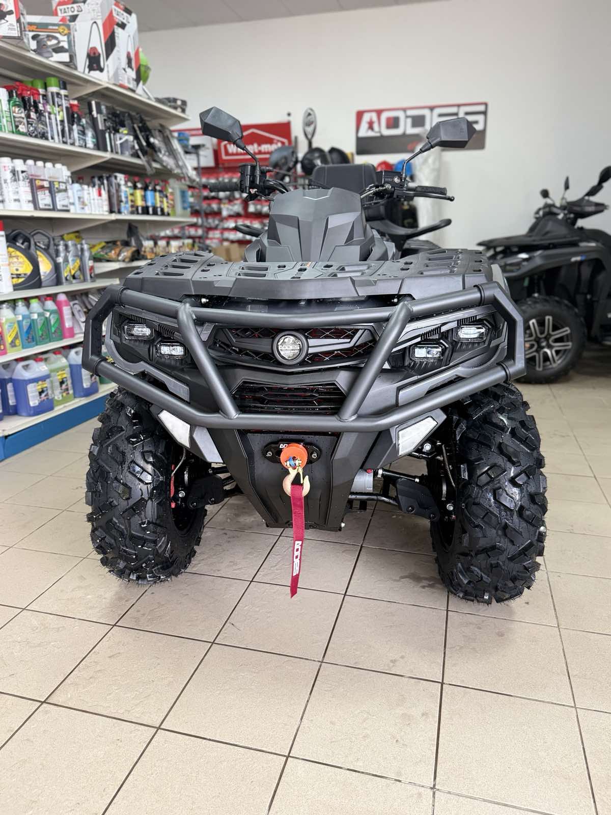 AODES 650L EPS V-Twin T3b SE 