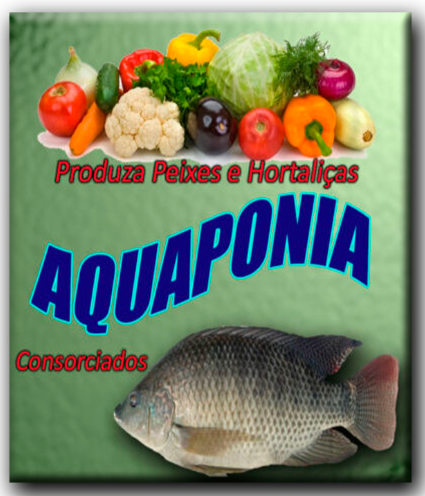 Curso de Aquaponia