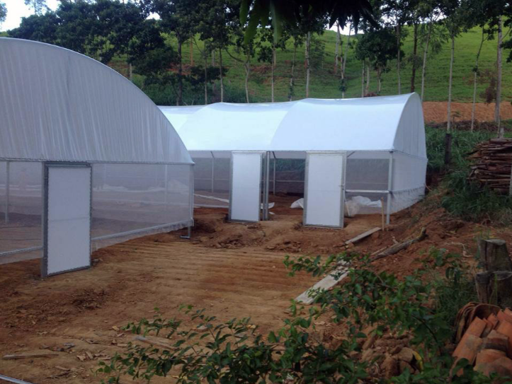 Projetos
