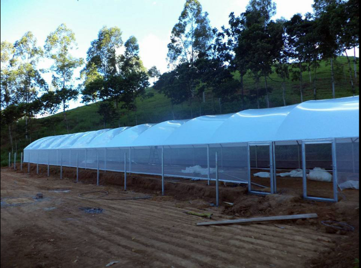 Projetos