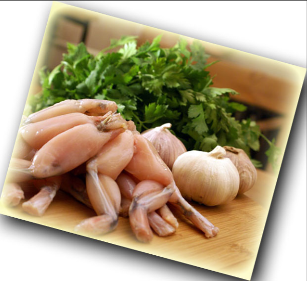 Receitas com Carne de Rã