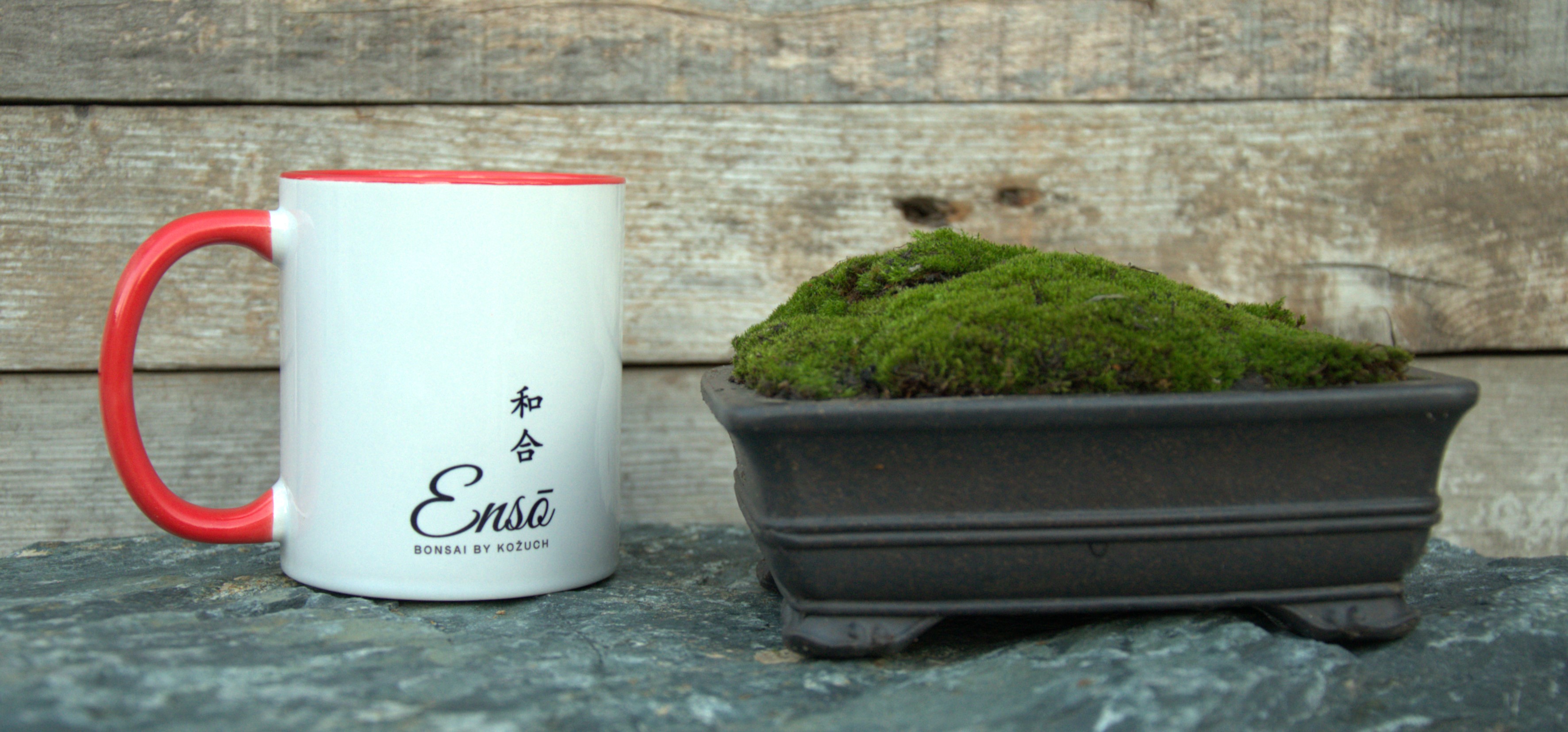 Ceramic Bonsai pot with live moss