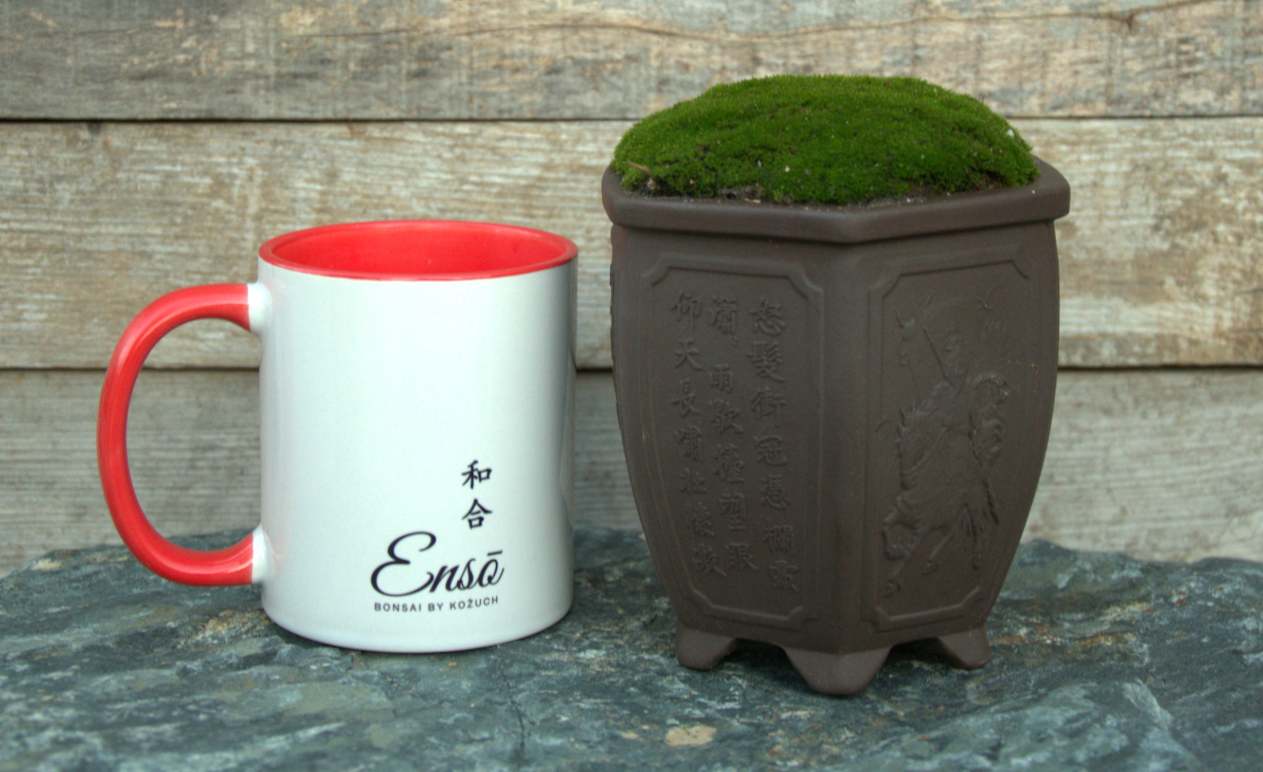 Ceramic Bonsai pot with live moss