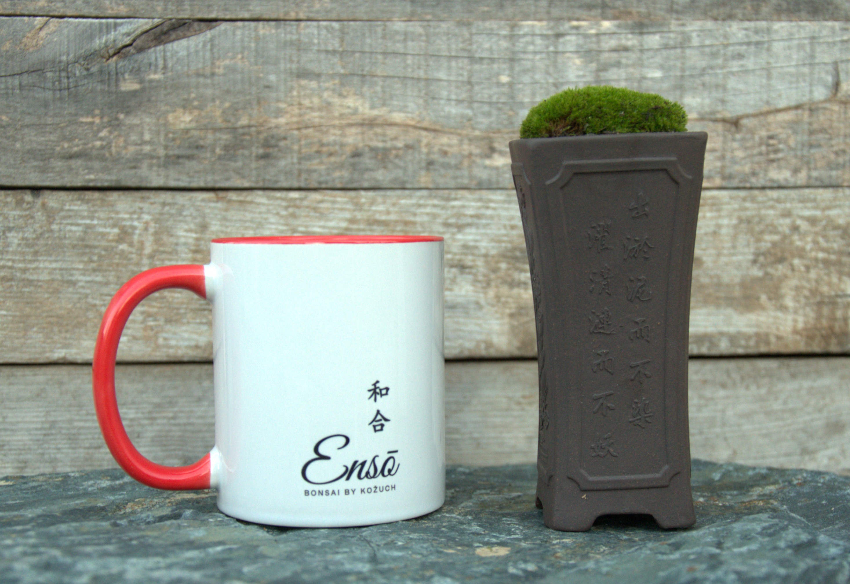 Ceramic Bonsai pot with live moss