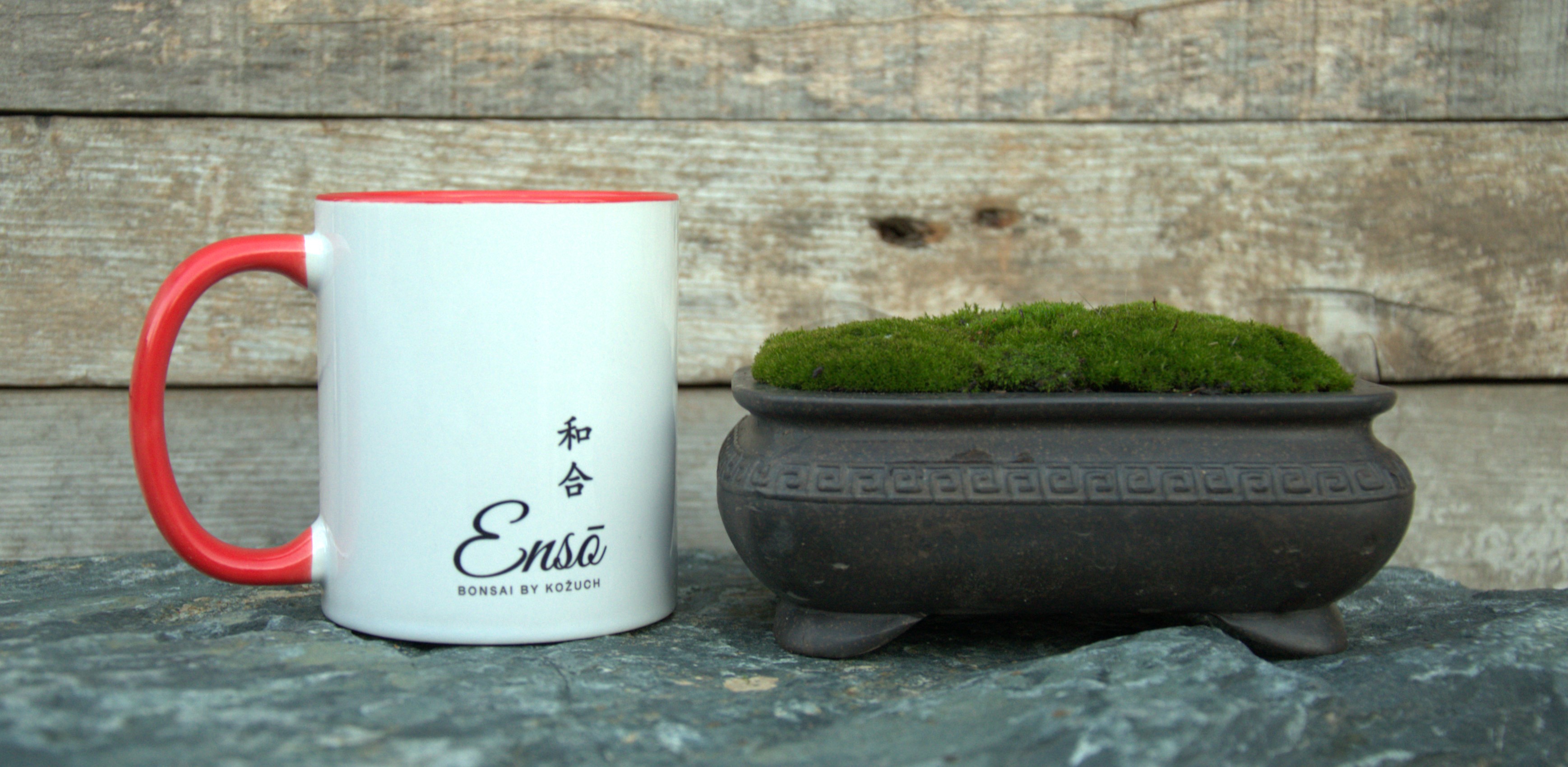 Ceramic Bonsai pot with live moss