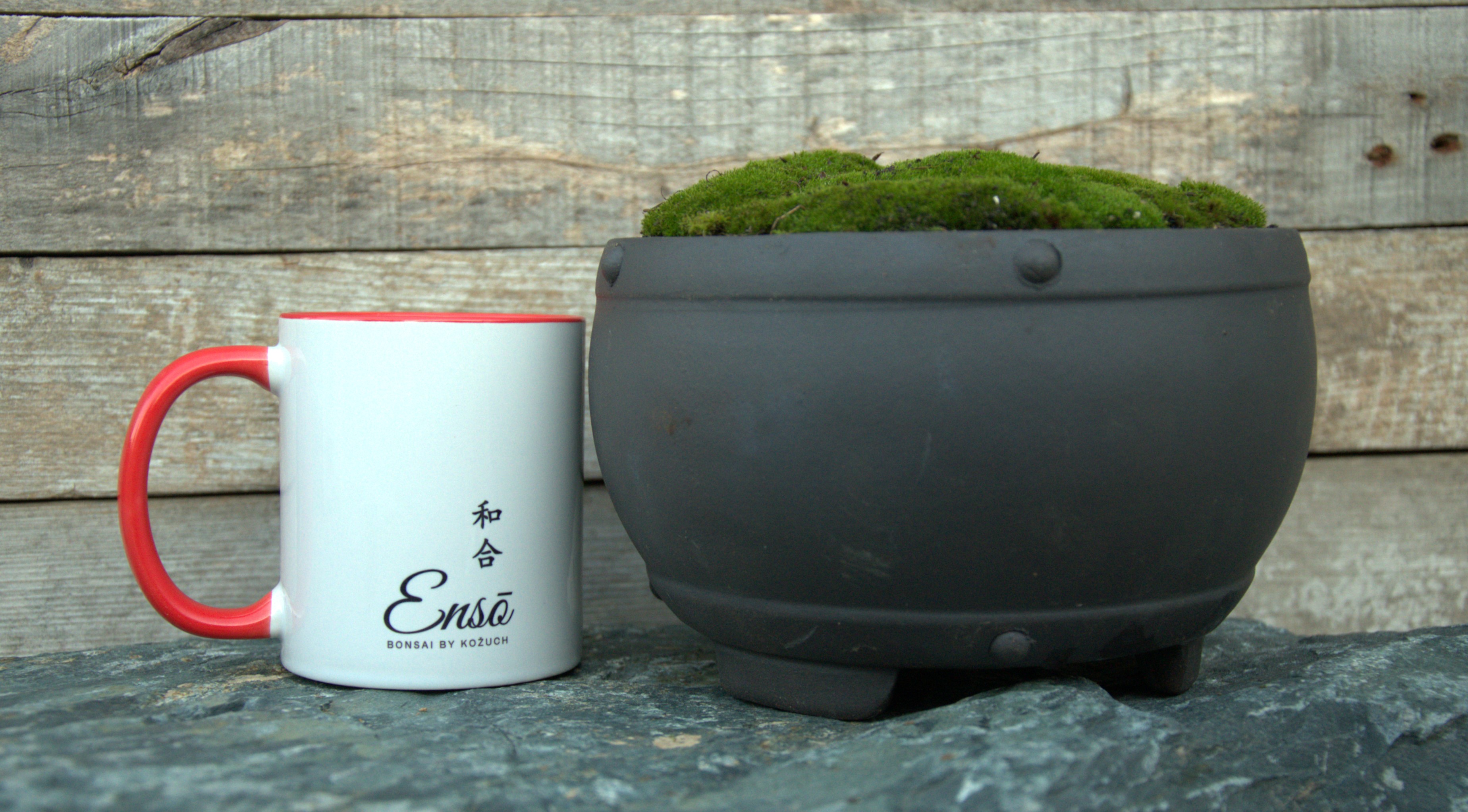 Ceramic Bonsai pot with live moss