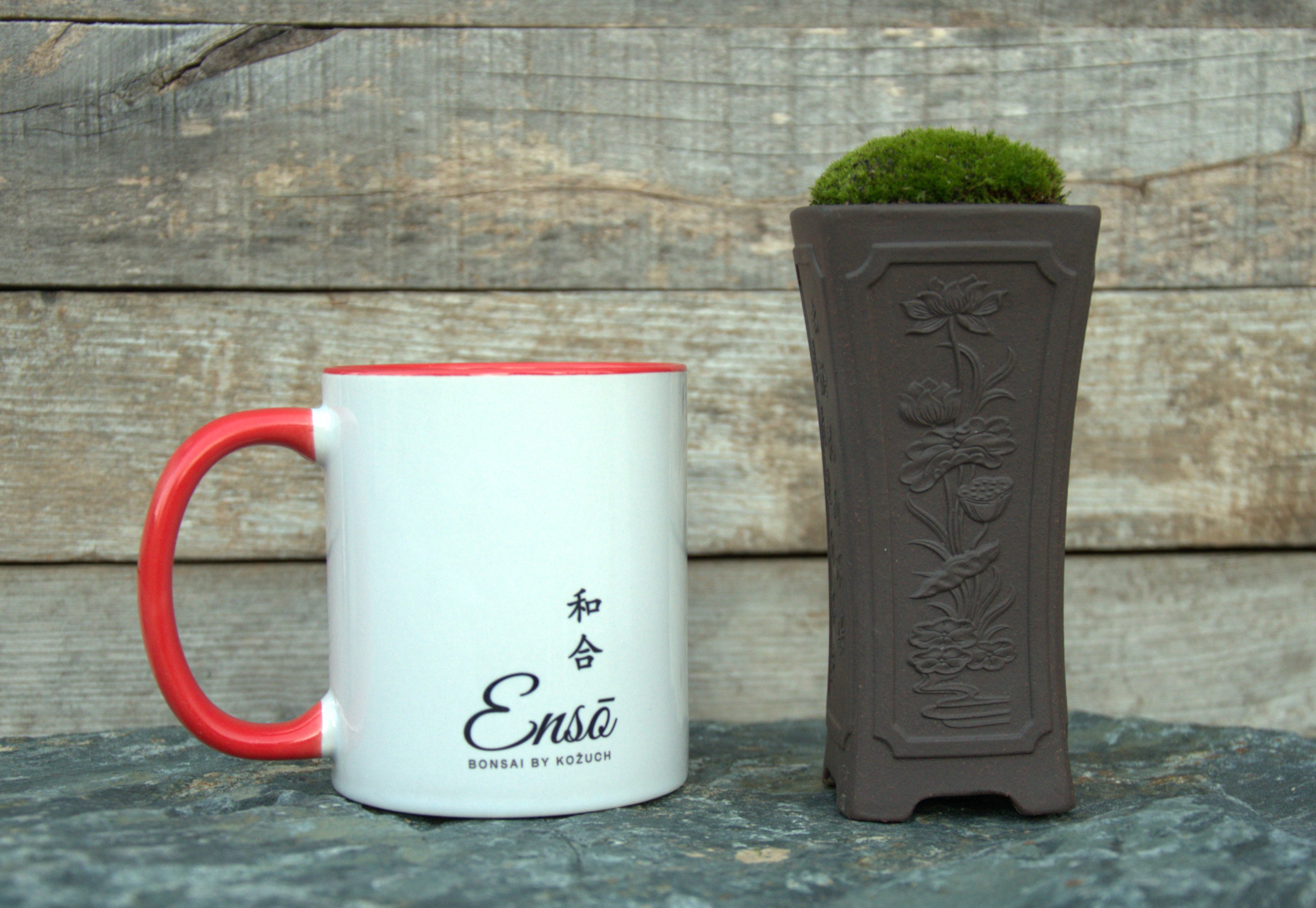 Ceramic Bonsai pot with live moss