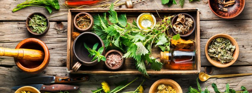 Ontdek de Smaak van Gezondheid