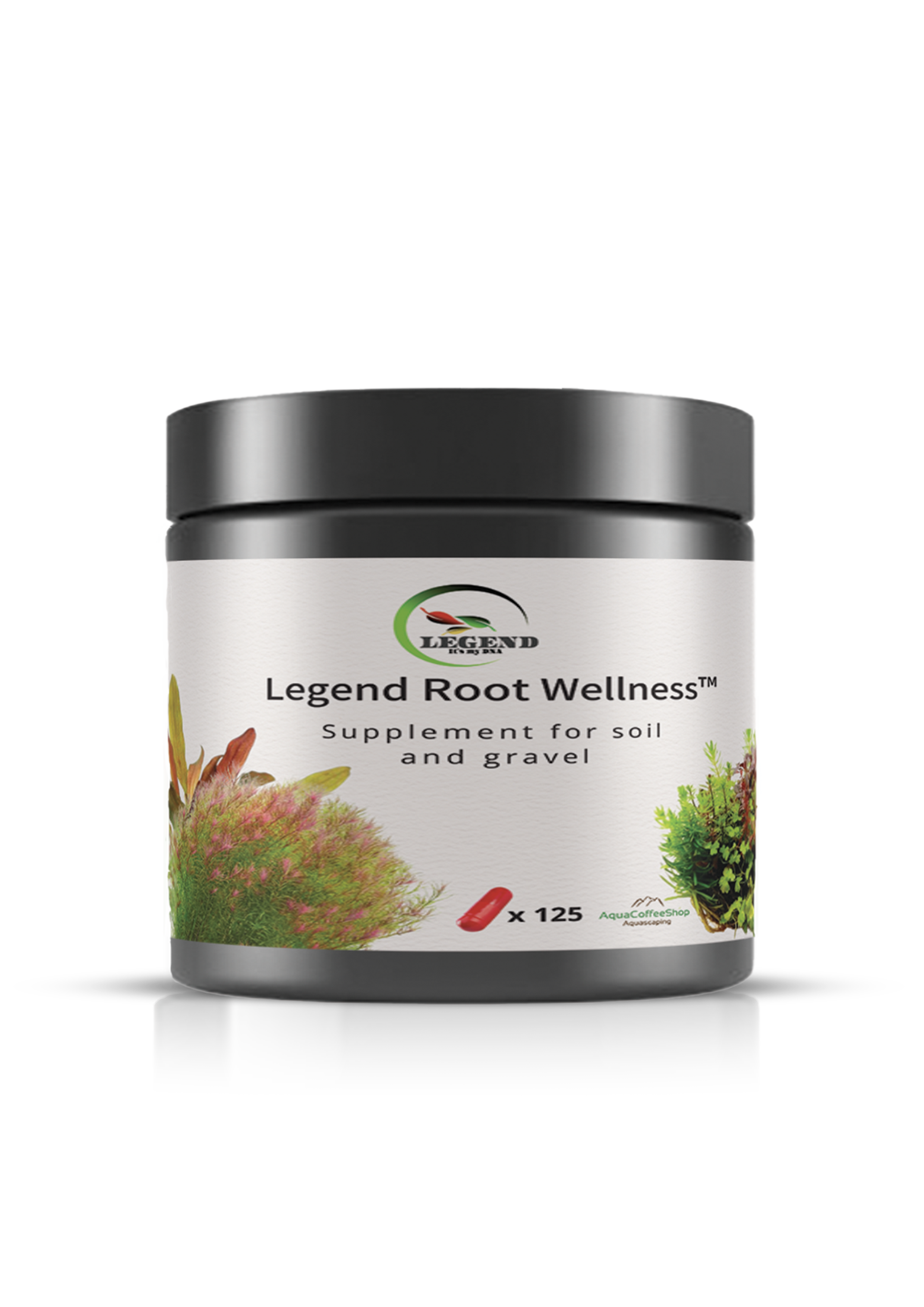 Legend Root Wellness