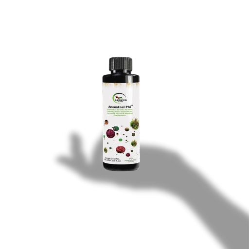 Legend Ancestral Phi