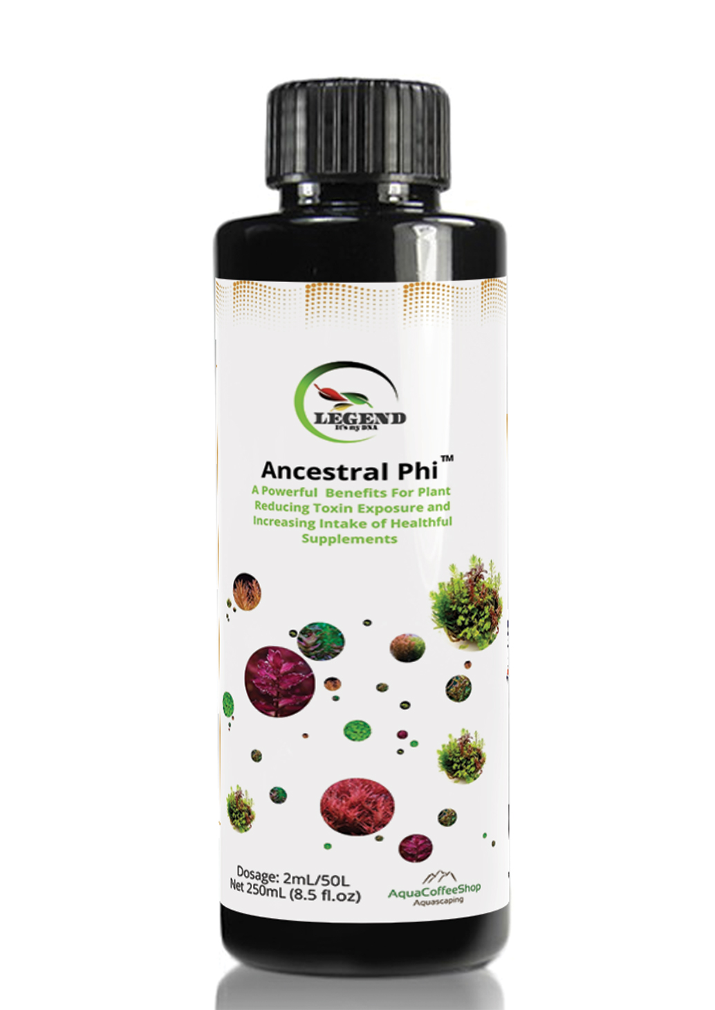 Legend Ancestral Phi