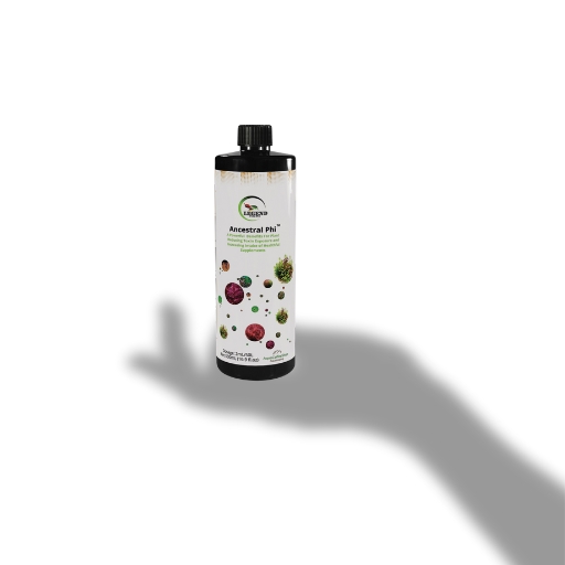 Legend Ancestral Phi