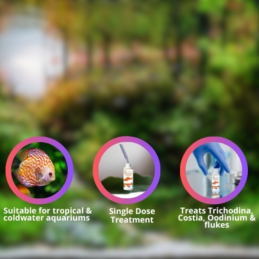 Legend MediCopper Complete