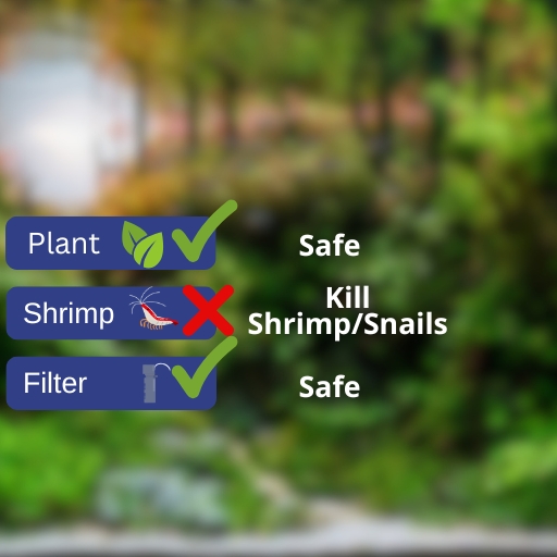 Legend MediVera Complete Swimbladder Treatment