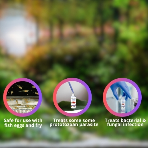 Legend MediBlue  Complete