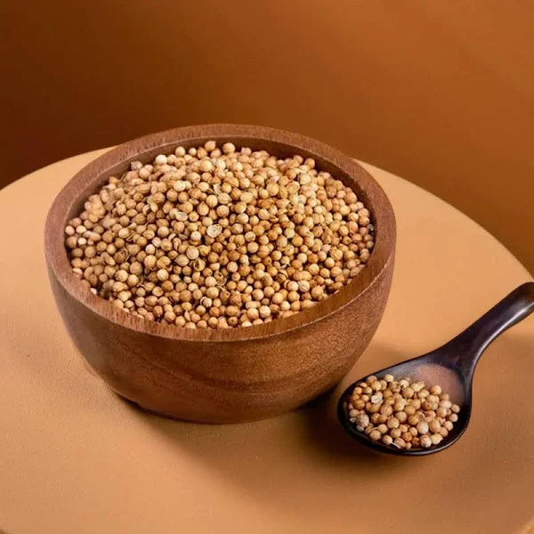 Bulk Organic Coriander Seeds | Whole & Certified Organic for Wholesale with 98% Purity & 8% Max Moisture Agriculture Product with 99% Purity