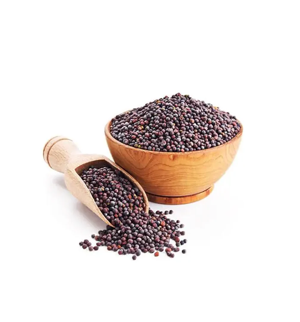 Bulk Organic Mustard Seeds | Yellow & Black Mustard for Wholesale