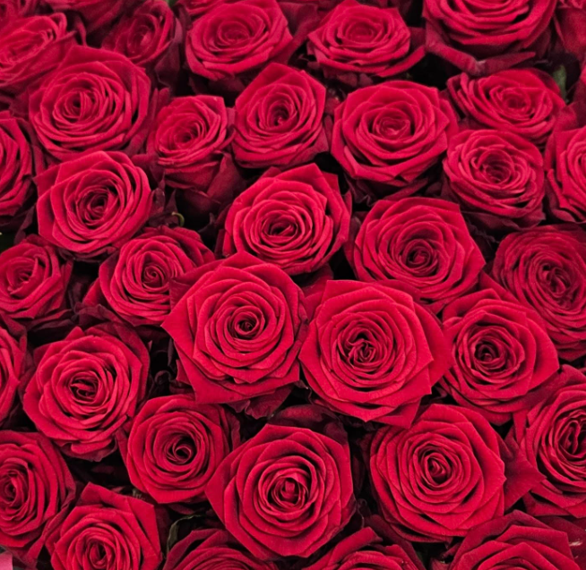 Roses Red Naomi Premium 