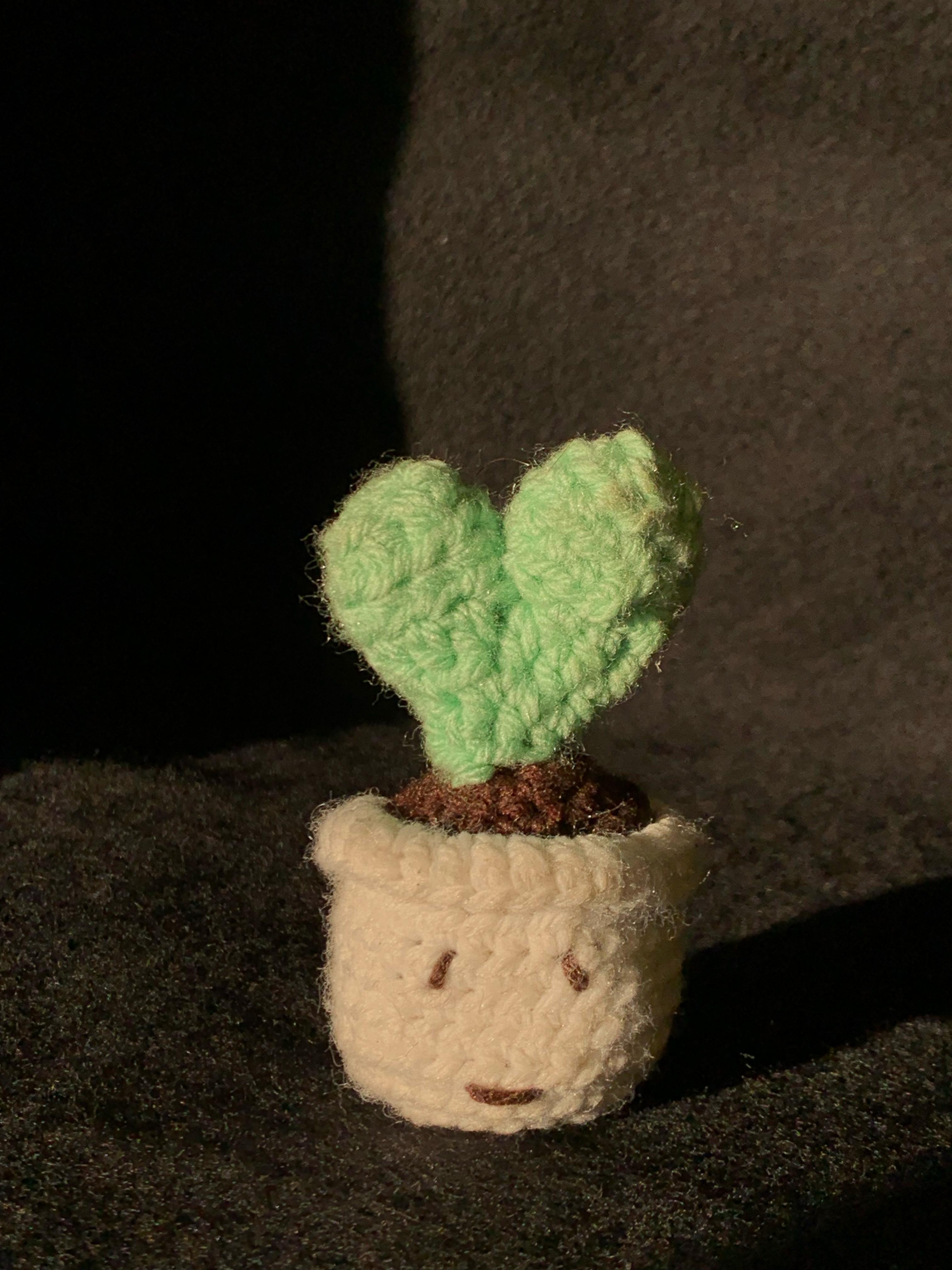 LOVE SPROUT