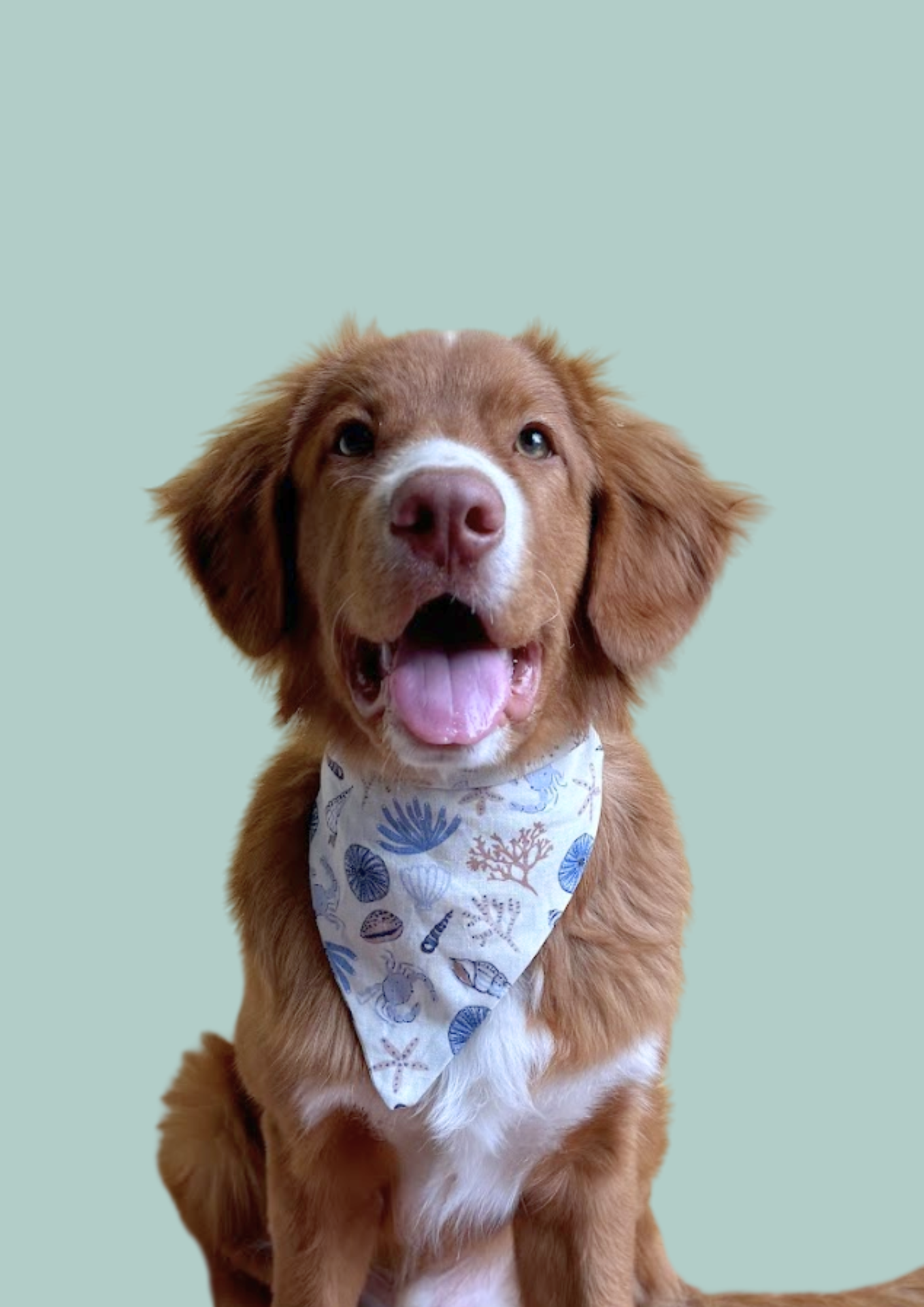 Bandana "Sandy Cheeks"