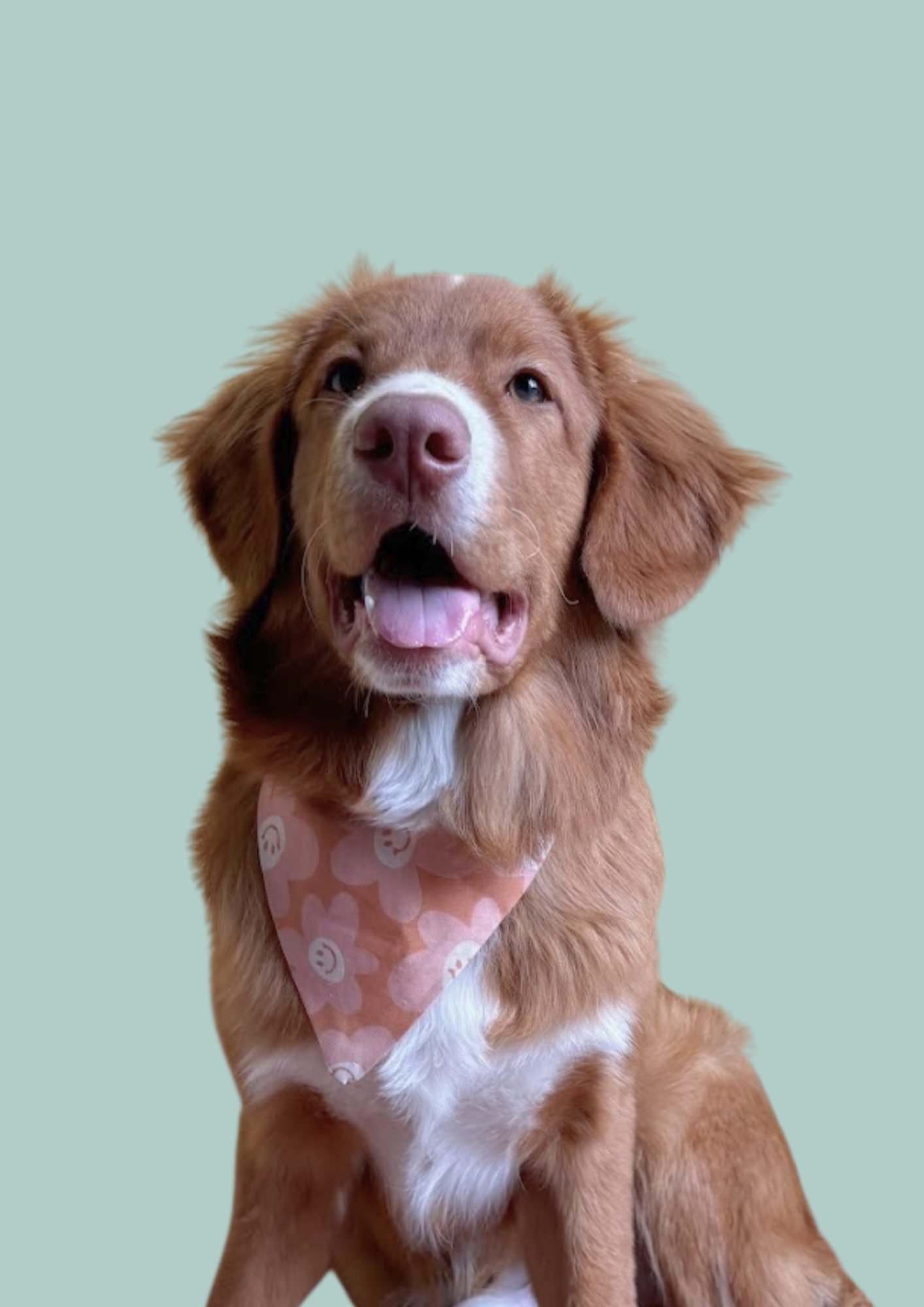 Bandana "Happy Days"