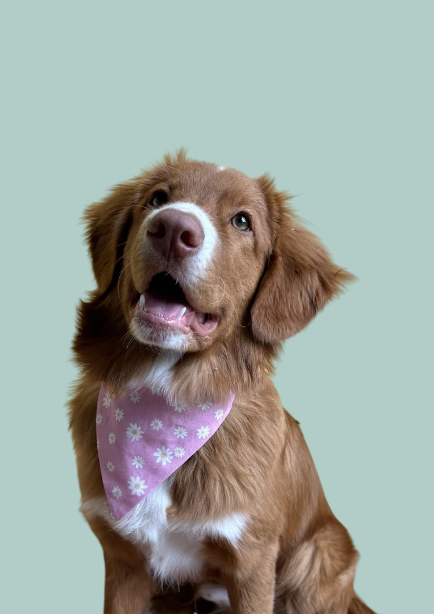 Bandana "Lady Daisy"