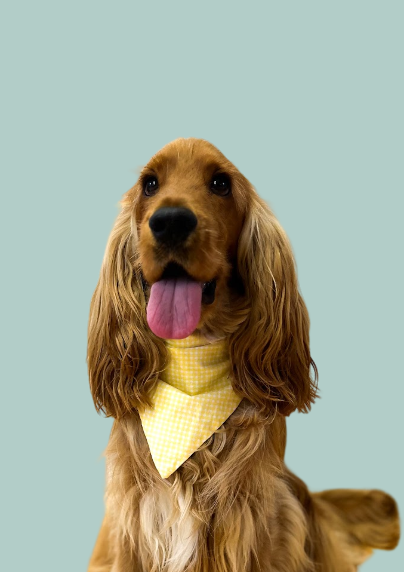 Bandana "Sweet Lemon" 