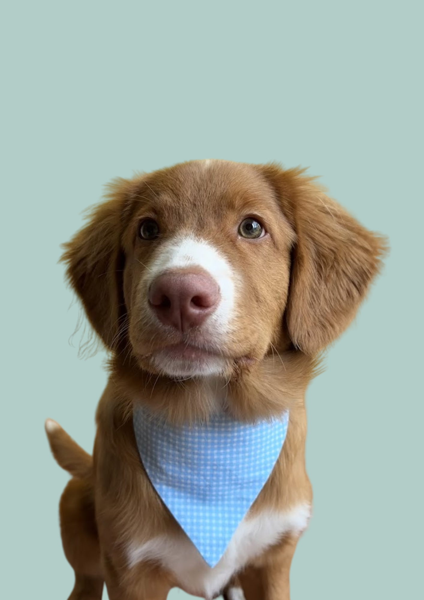 Bandana "Ice Ice Baby" 