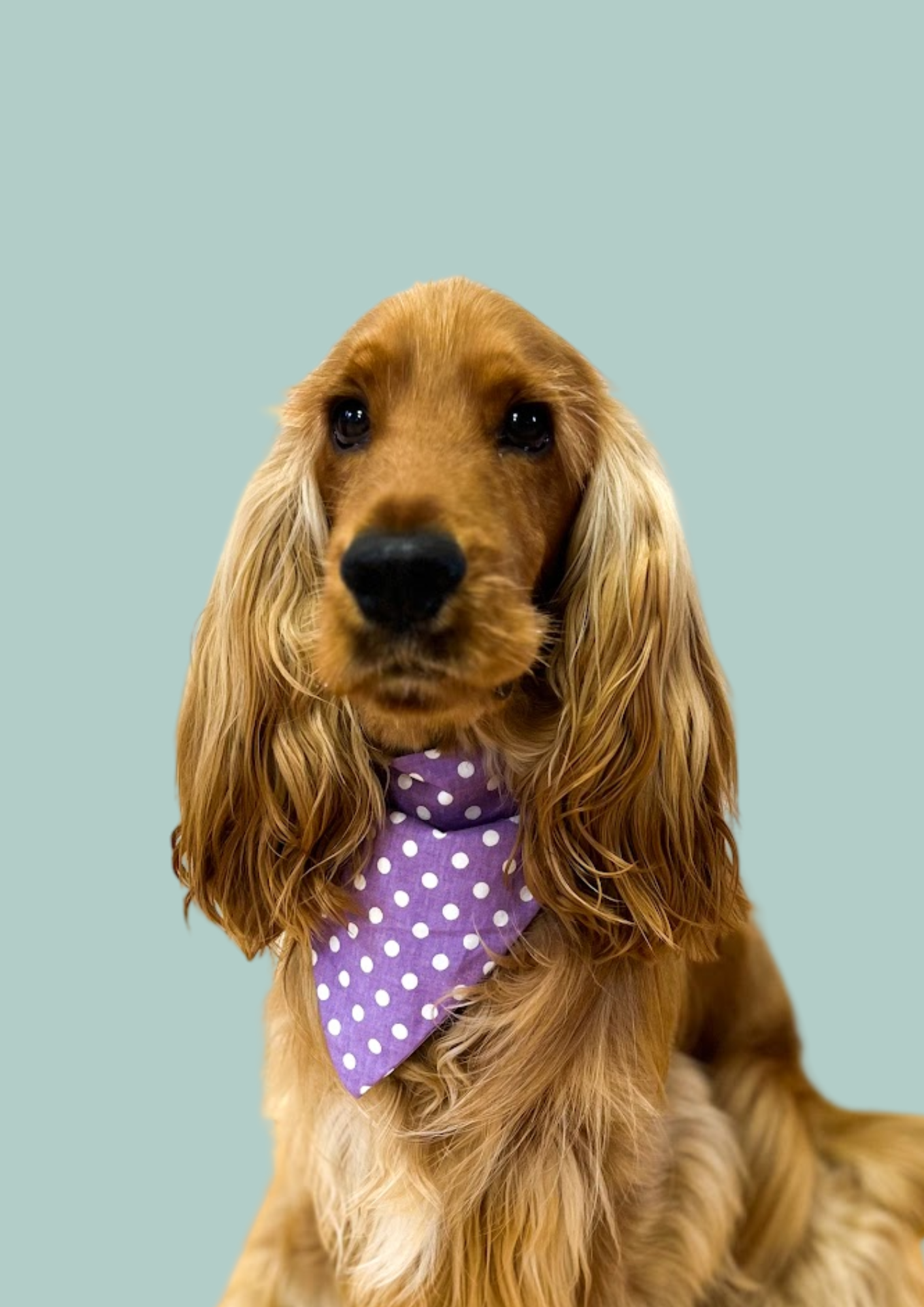 Bandana "Purple Rain" 