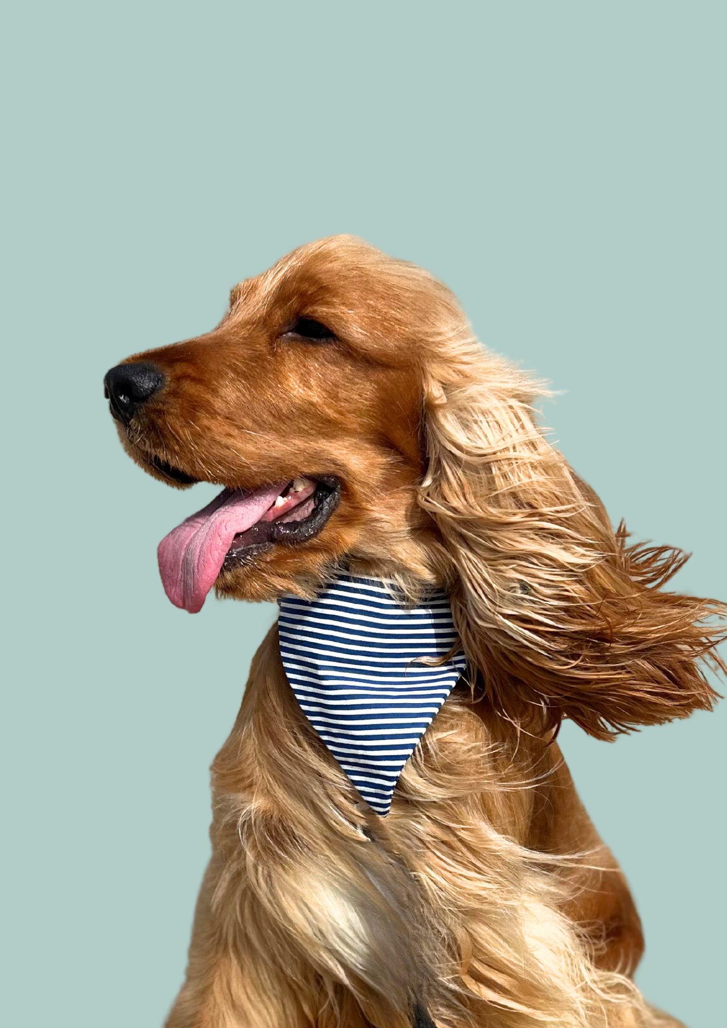 Bandana "Aye - Aye, Captain" 