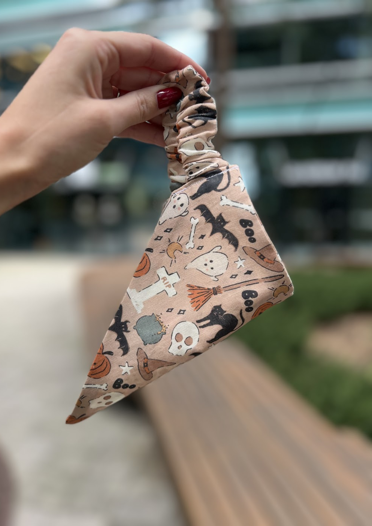 Bandana "Hocus Pocus"