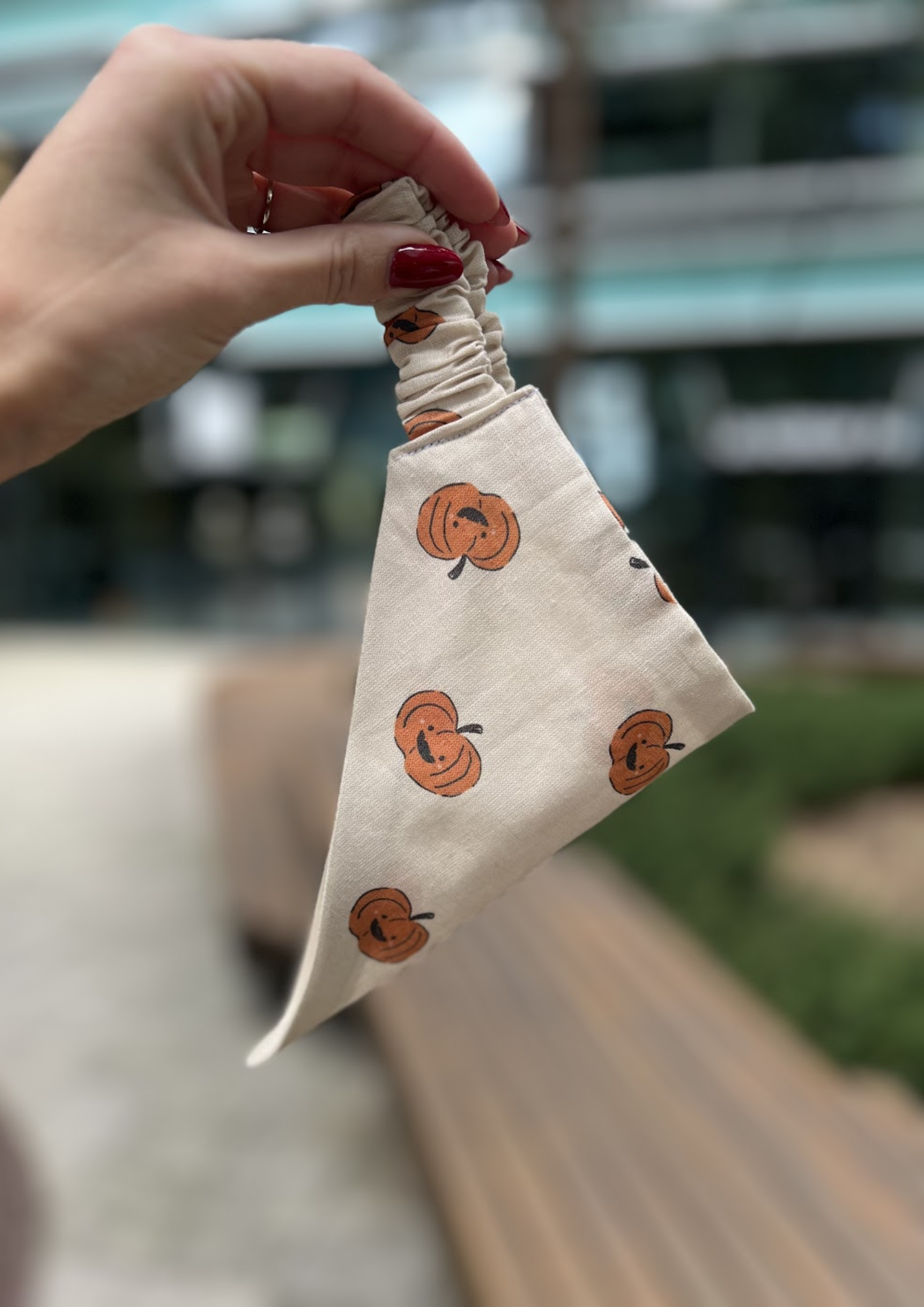 Bandana "Hey, pumpkin"