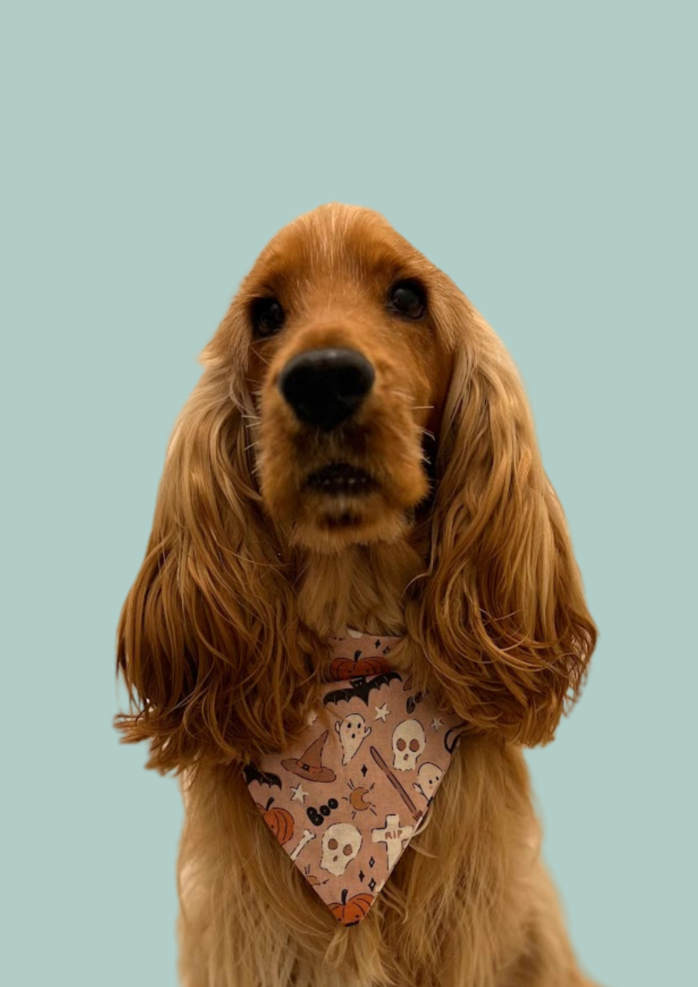 Bandana "Hocus Pocus"