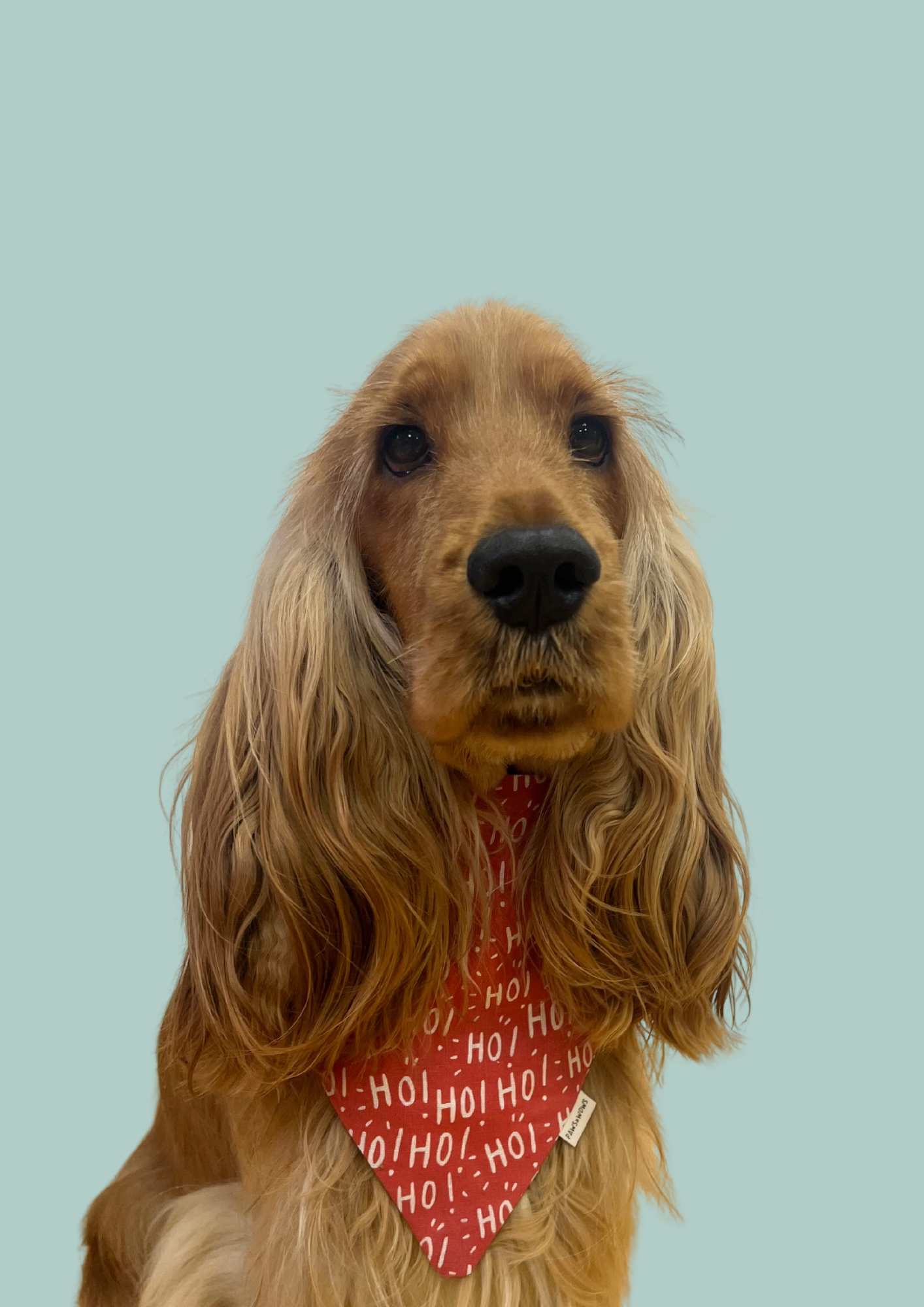 Bandana "HO! HO! HO!"