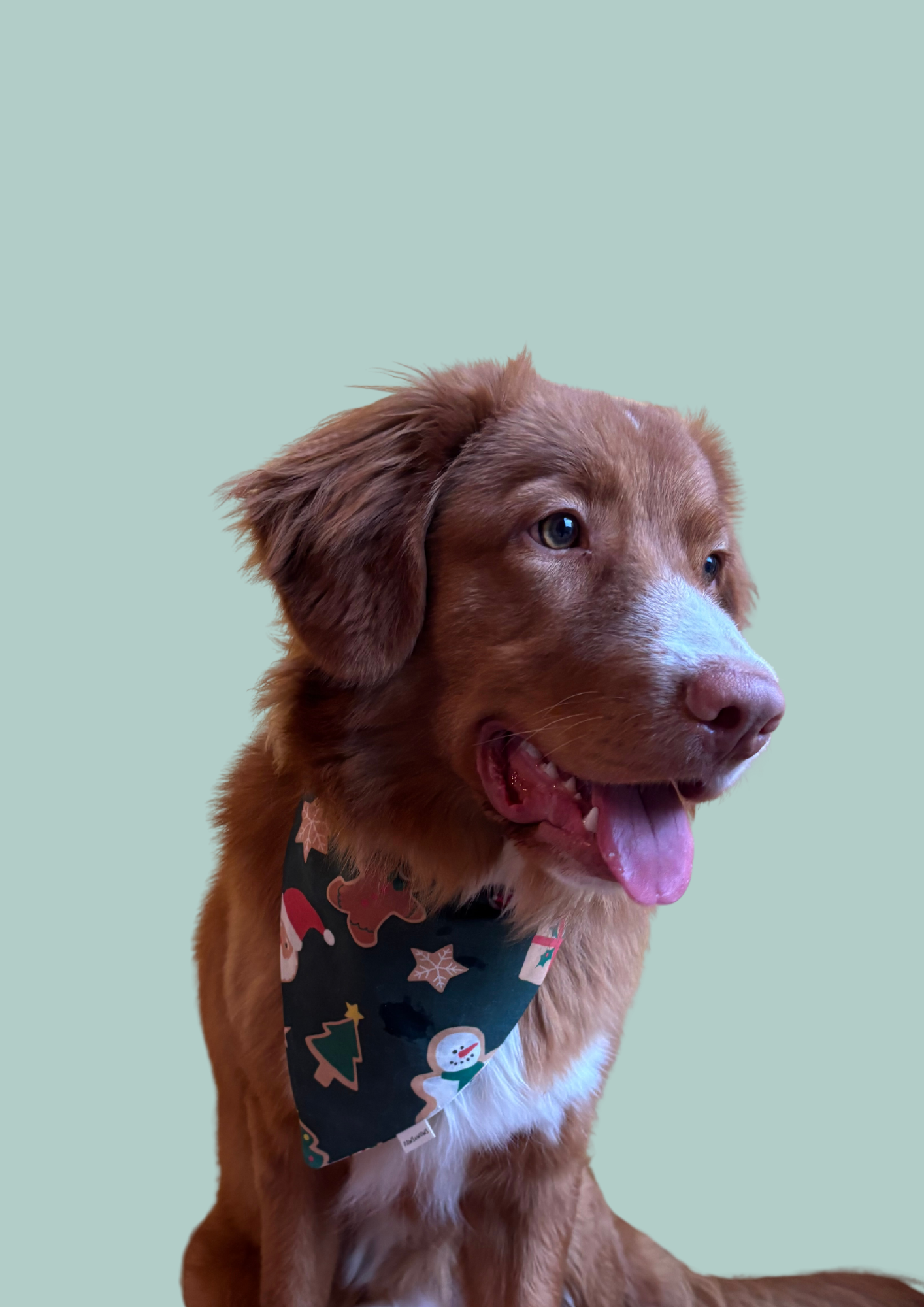 Bandana "Cookies for Santa"