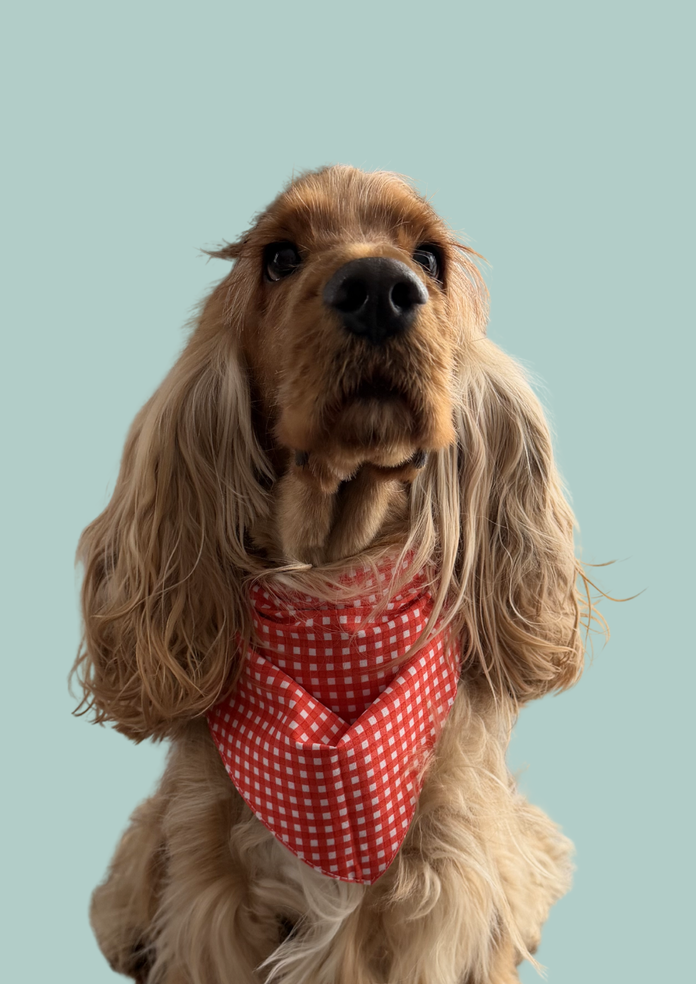 Bandana "Spring picnic"