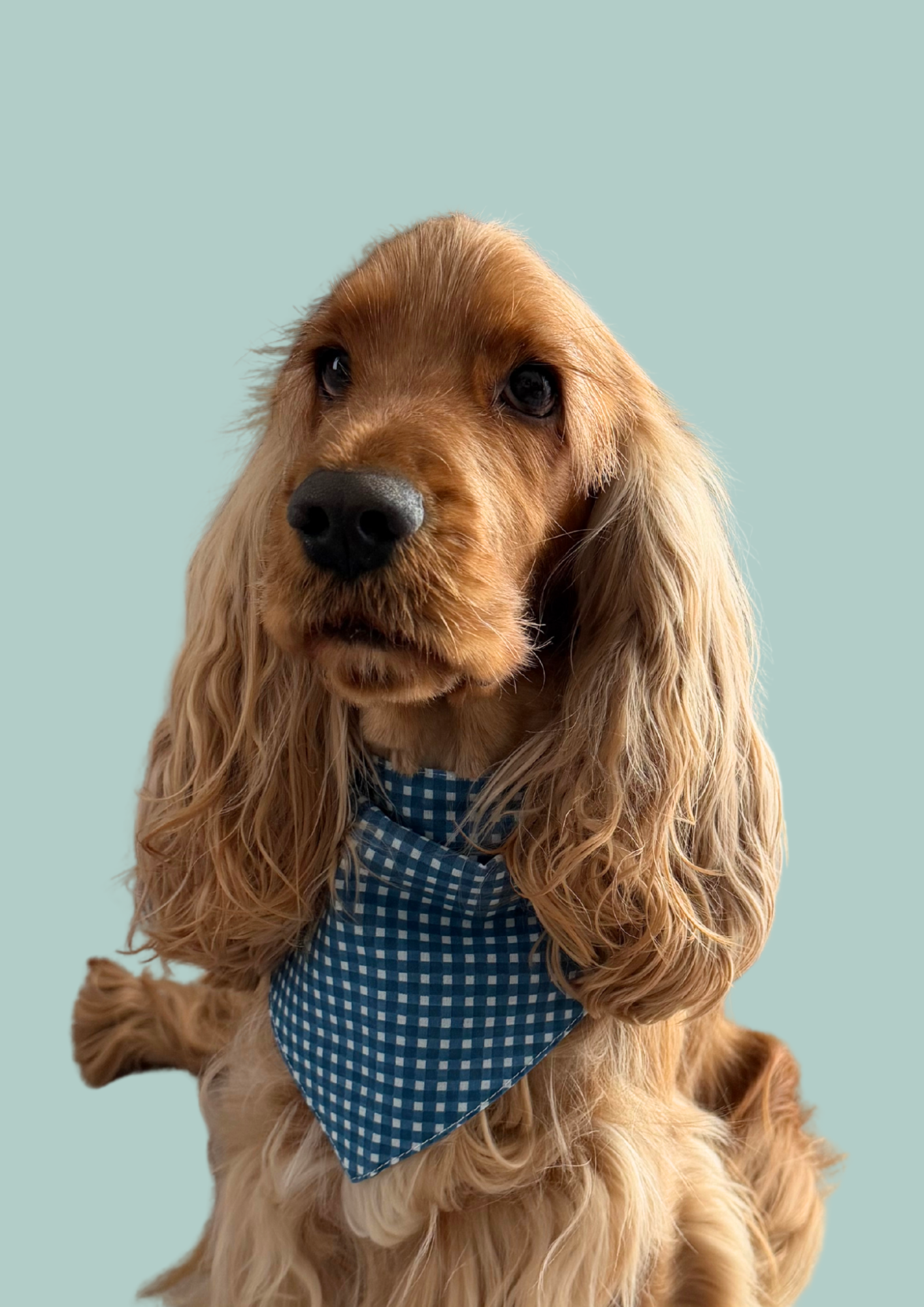 Bandana "Cloud nine"