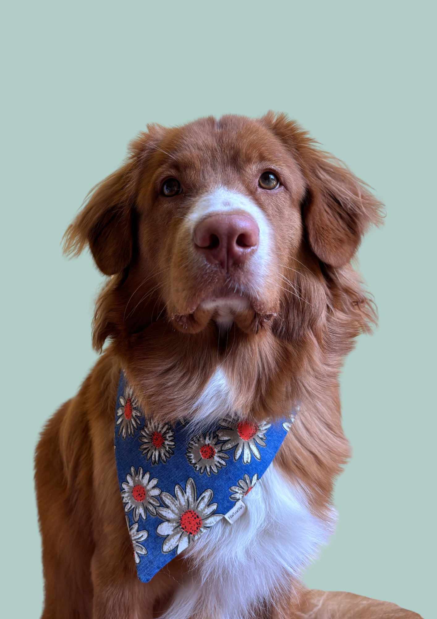 Bandana "Boho Blooms"