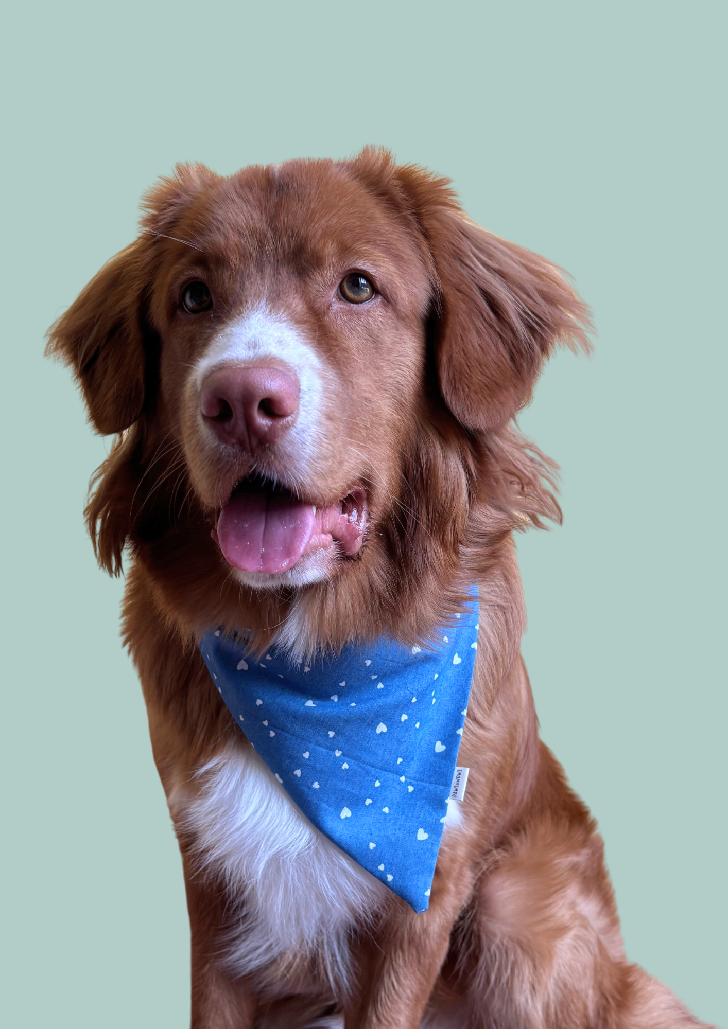 Bandana "Love in Blue"